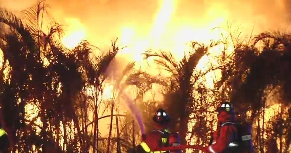 Massive fire destroys RV, fruit stand in SW Miami-Dade