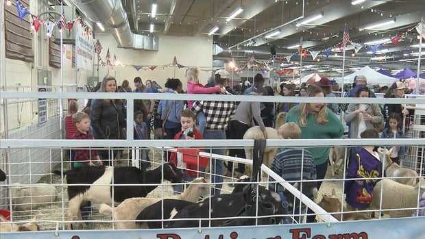 national-western-stock-show.jpg 