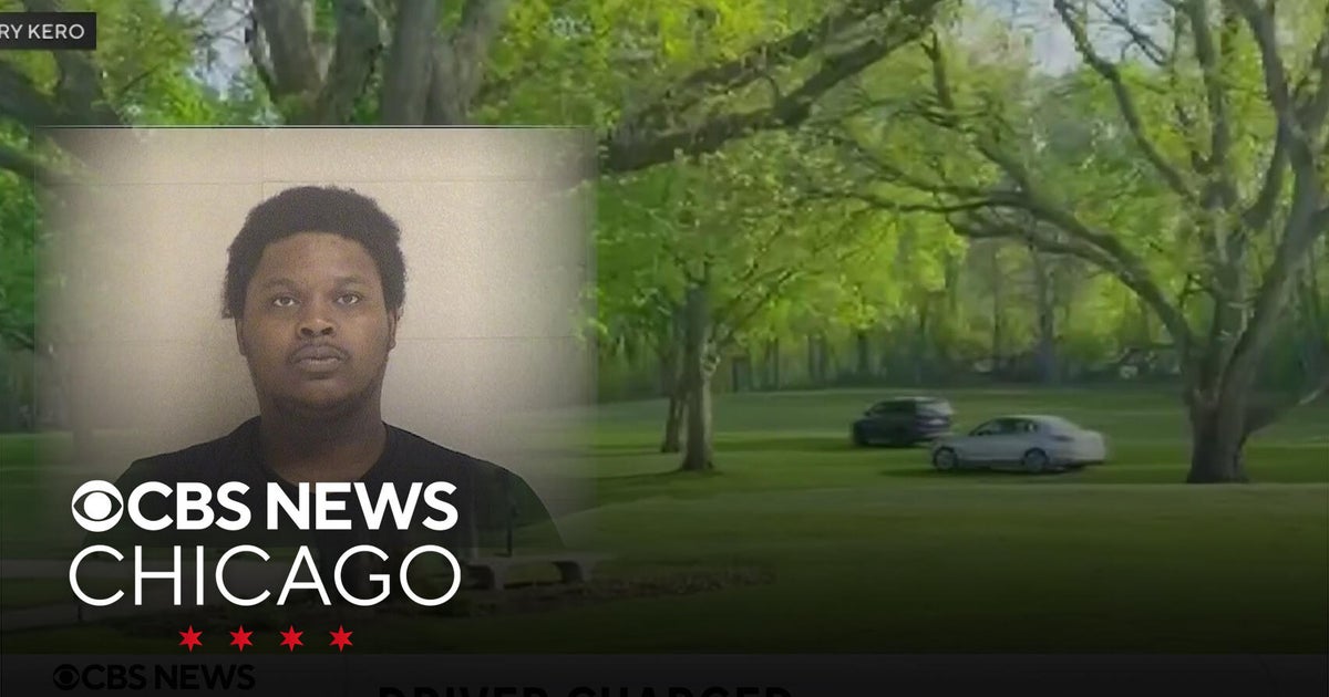 Driver charged with hitting golfer on Chicago course rampage held ...