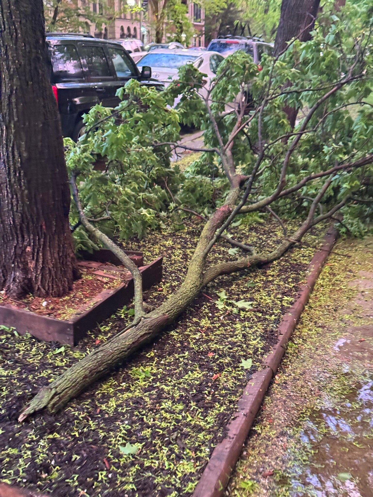 Severe thunderstorms pound Chicago area, fueled by record heat - CBS ...