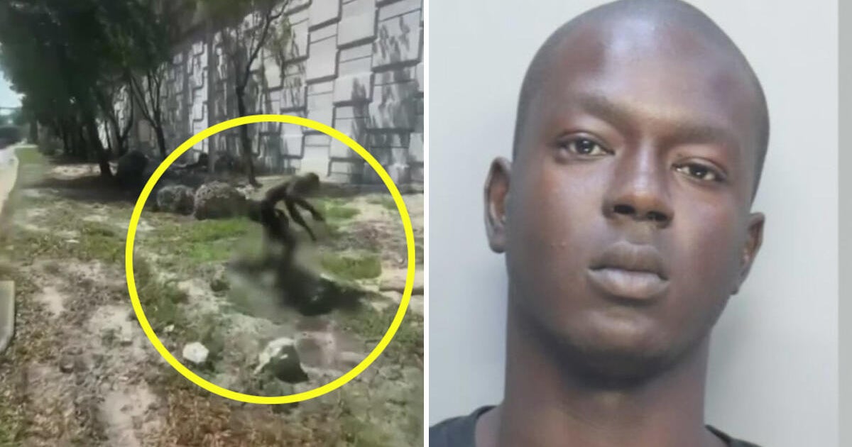 North Miami man arrested after viral video shows him allegedly stomping on kitten, police say North Miami man arrested after viral video shows him allegedly stomping on kitten, police say