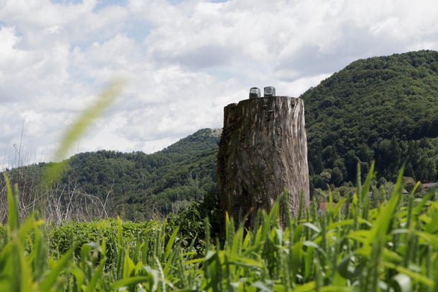 Slovenia Melania Trump Statue