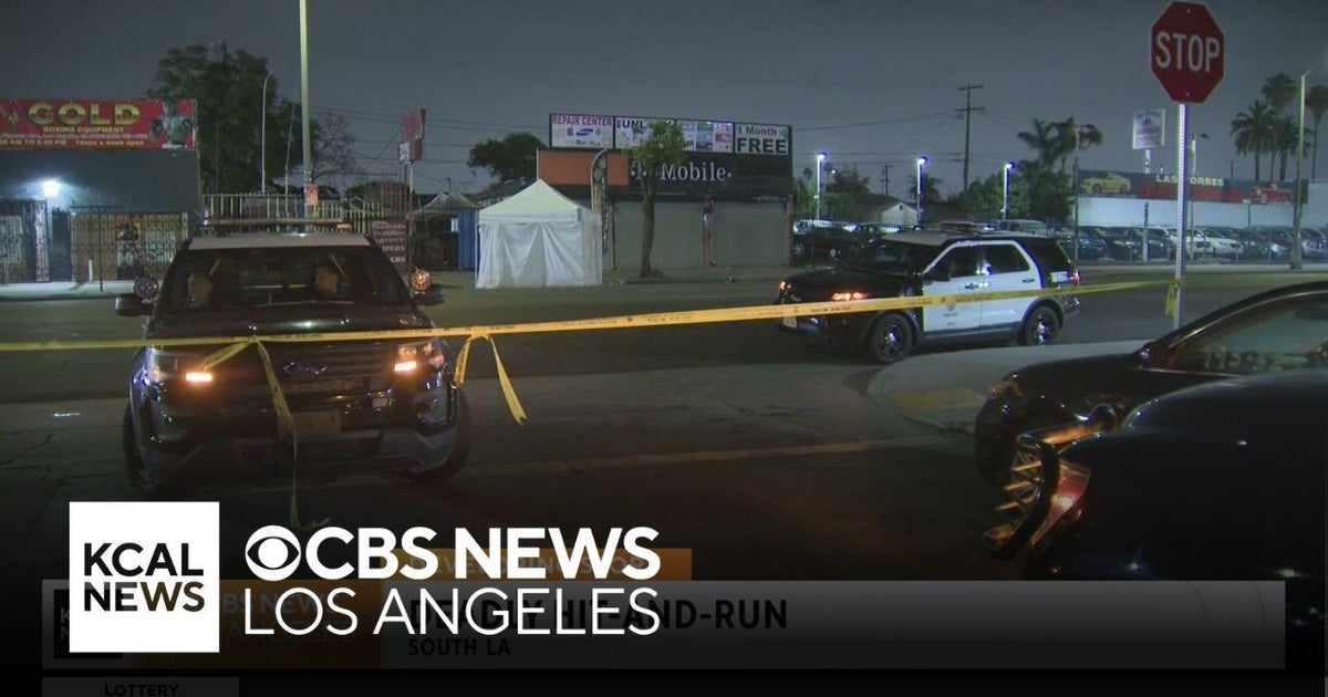 Suspect in deadly South LA hit-and-run is in custody - CBS Los Angeles