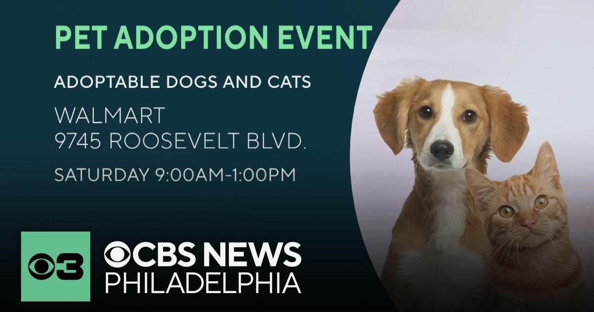 Walmart partners with Best Friends Animal Society to help pets find ...