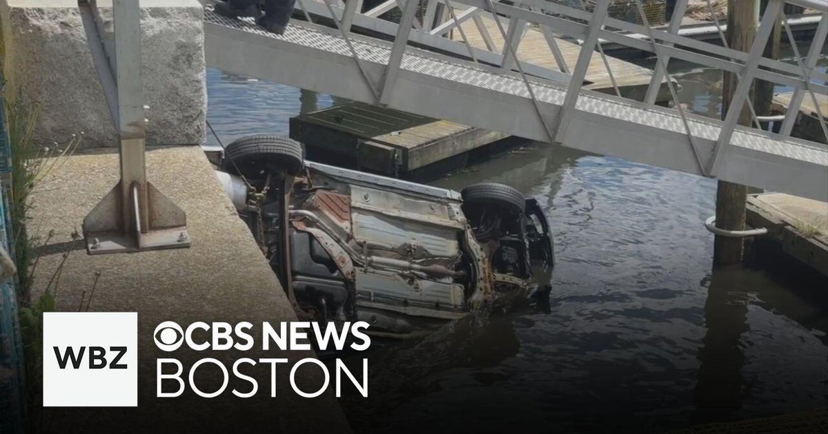 Multiple People Rescued from Sinking Vehicles in New York, Massachusetts