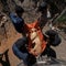 "Narco pets," circus animals fleeing Mexico city eclipsed by cartel violence