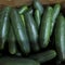 Salmonella outbreak linked to recalled cucumbers sickens dozens