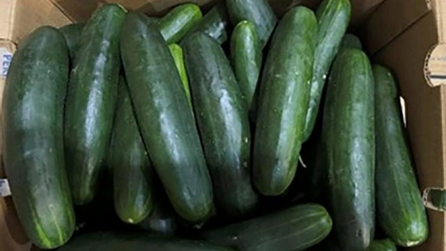 Salmonella outbreak linked to recalled cucumbers sickens dozens across 18 states