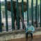 2 elephants getting some 400 pills a day each to battle tuberculosis