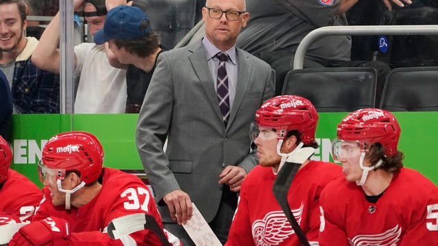 Blackhawks Blashill Hockey 
