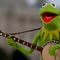 Kermit the Frog previews his commencement speech