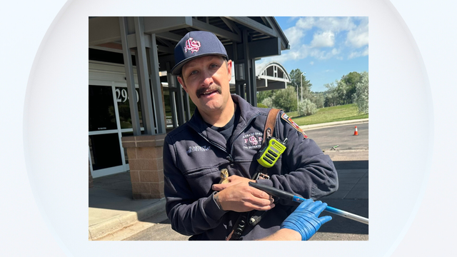 colorado-springs-duck-rescue-1.png 