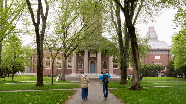 Harvard University sues Trump administration over frozen federal grants 