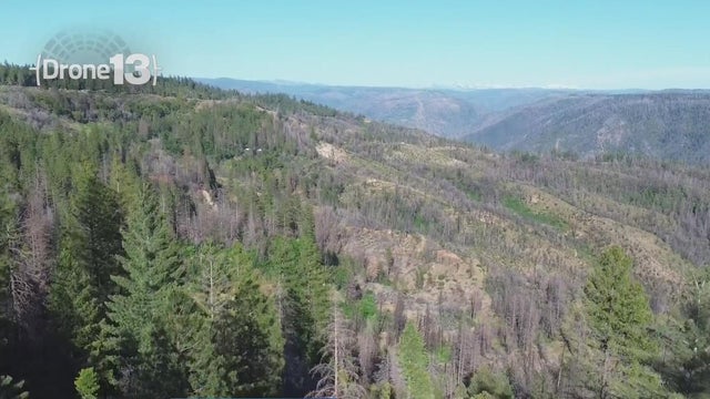 foresthill divide 