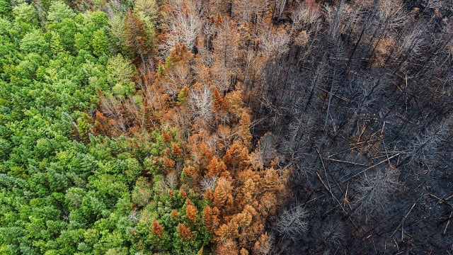 Aerial View of Wildfire Damage 