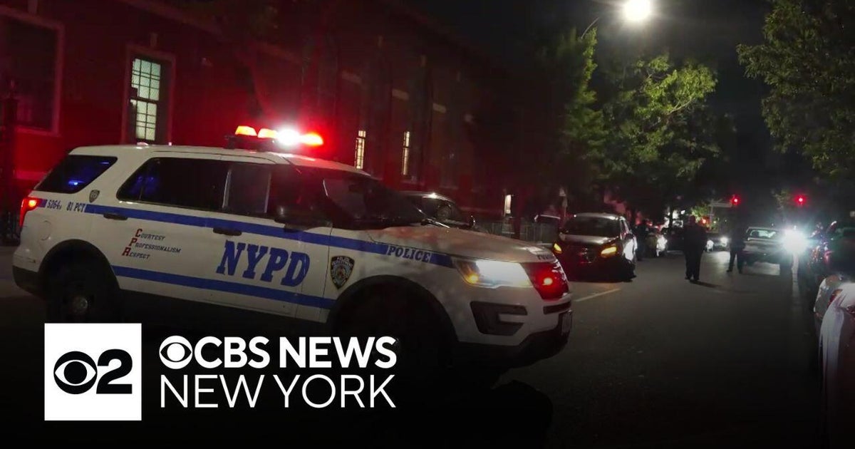 Brooklyn Hit-and-Run Driver Kills Pregnant Woman, Flees Scene