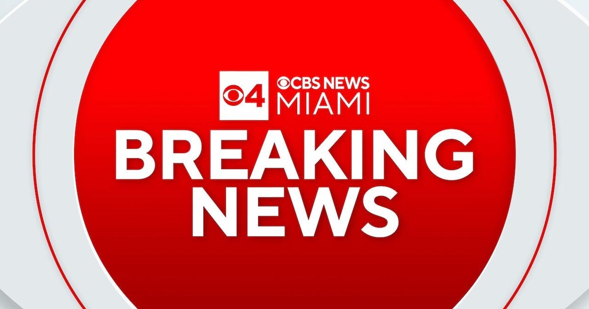 Multi-Vehicle Crashes Shut Major Bridges, Roads in Georgia, Florida, Maryland