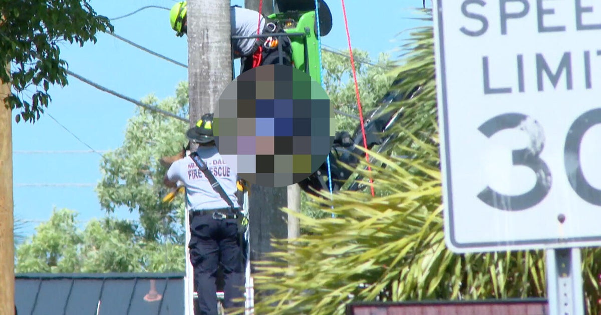 Man dies after being electrocuted while pruning palm tree near Tamiami, Miami-Dade deputies say