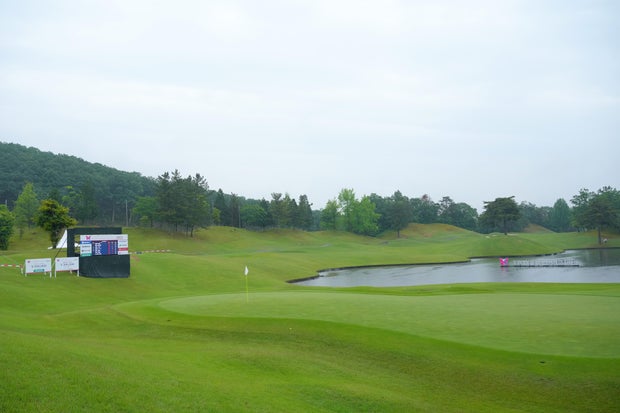 Bear on golf course brings early end to women's tournament in Japan; 