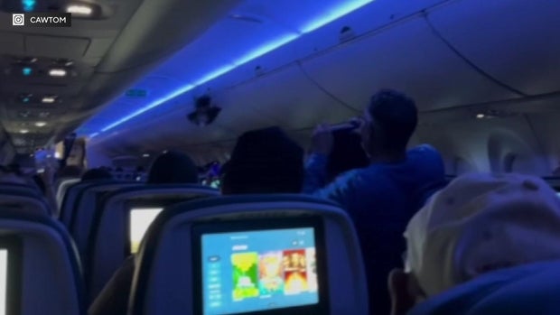 9am-vo-pigeon-on-plane-wcco7w6o.jpg 