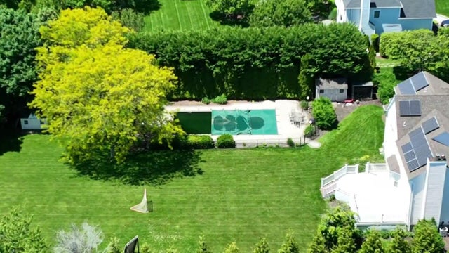 A backyard swimming pool 