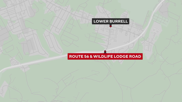 Westmoreland County Resident Dies in Motorcycle Accident in Lower Burrell
