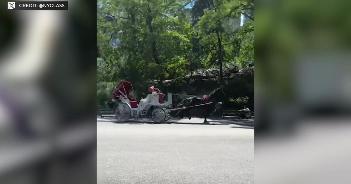 Video of runaway carriage horses in Central Park sparks renewed calls to shut down industry