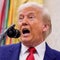 The common theme among Trump's recent pardons