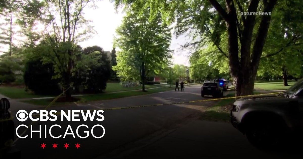5-year-old boy dies after being hit by car in own driveway - CBS Chicago