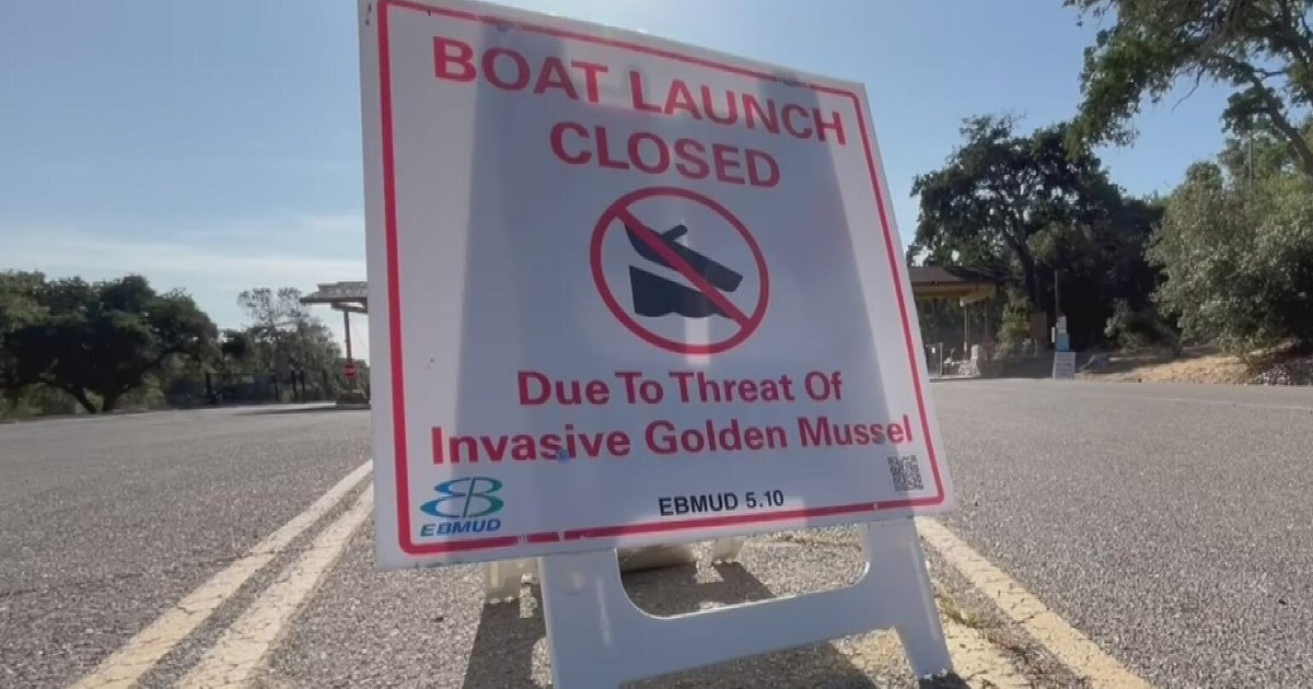 Boats, alcohol banned at Californias Lake Comanche. Heres what to know.