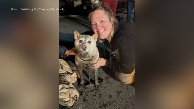 kdka-dog-rescued-storm-drain-1.png 