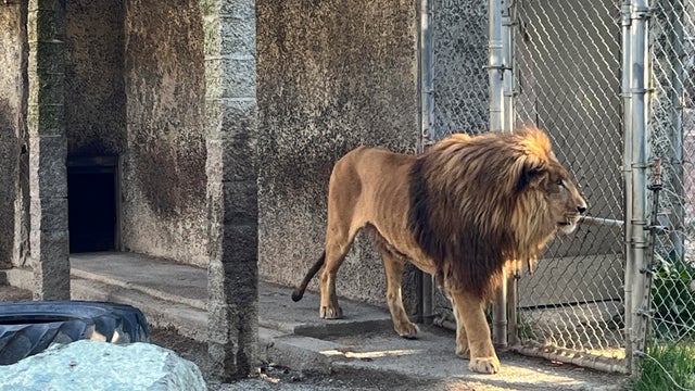 Oregon Zoo Owner Arrest 