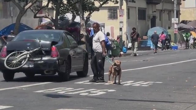 skid-row-pets.jpg 