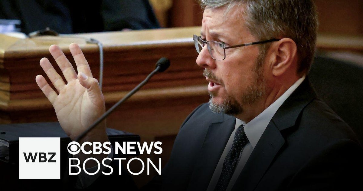 Full video of tense cross-examination of crash expert in Karen Read ...