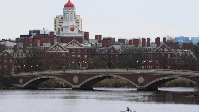 Trump Harvard 
