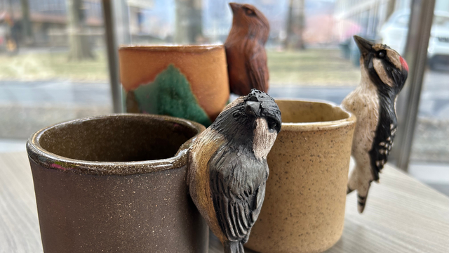 wyww-talk-birds.png 