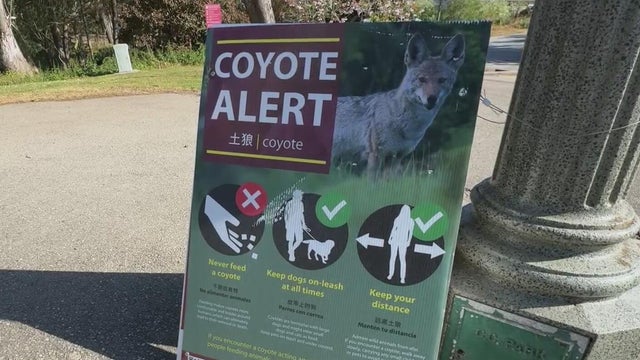 sf-coyote-alert-sign.jpg 