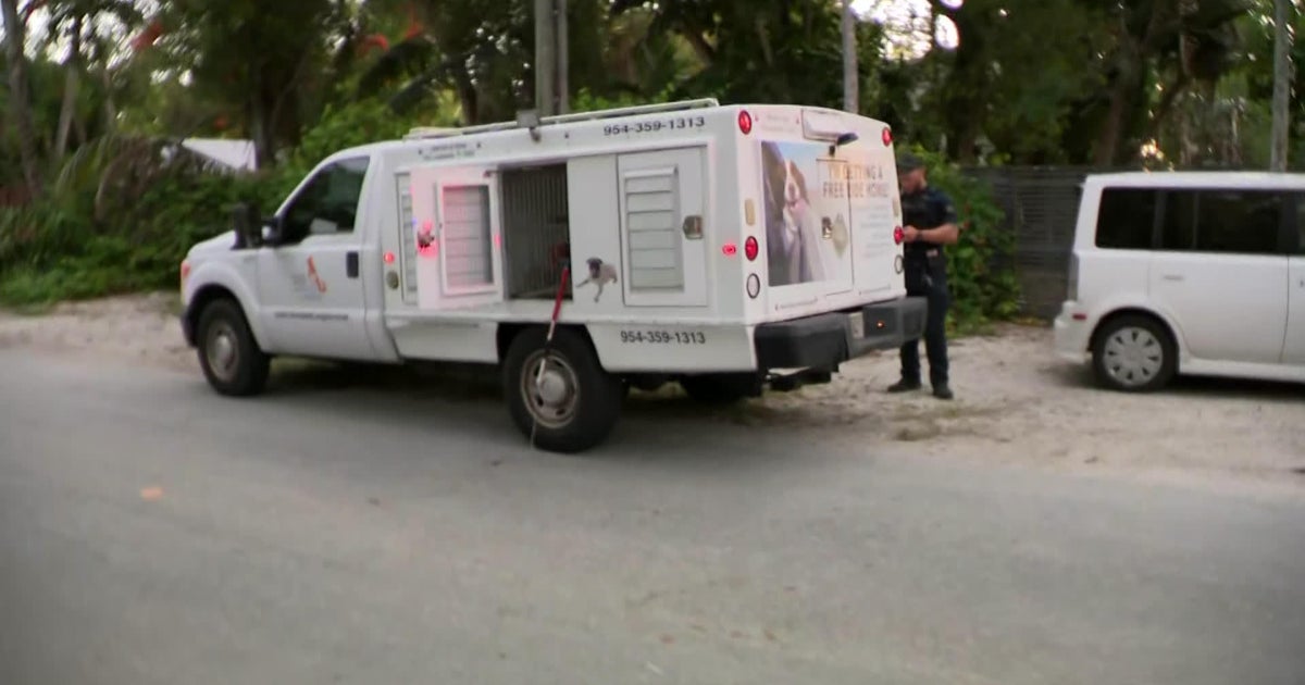 Woman suffers life-threatening injuries in dog attack, Fort Lauderdale police says