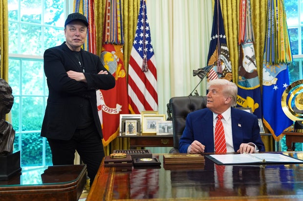 trump card 