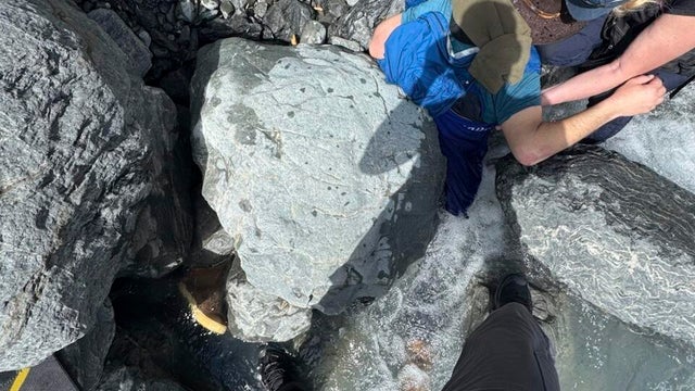 Alaska Trapped by Boulder 