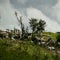 Tornado warnings issued in South after storm hits Kentucky, killing 1