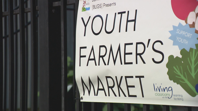 youth-farmers-market.png 
