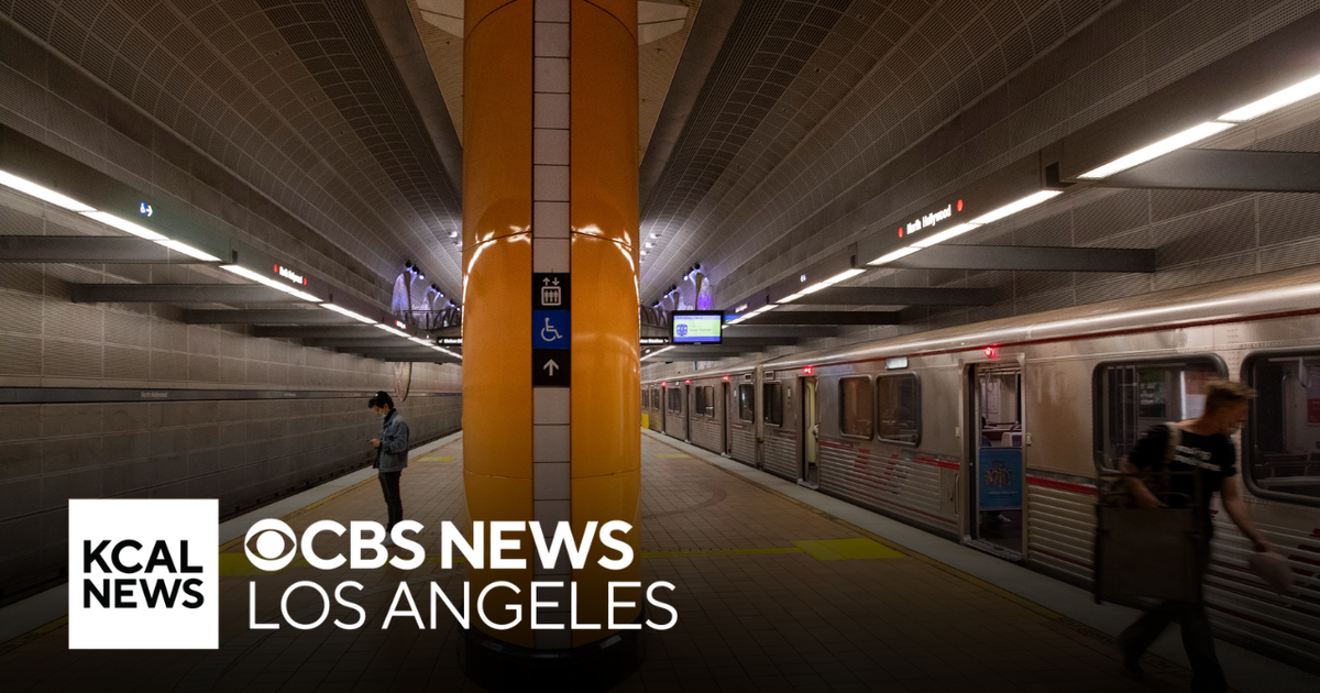 Two Metro security guards and alleged attacker hospitalized in North ...