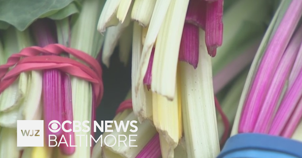 cbsnews.com - Youth gardening program hosts farmers market, gaining invaluable skills for adulthood