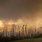 Canadian wildfires force tens of thousands to evacuate
