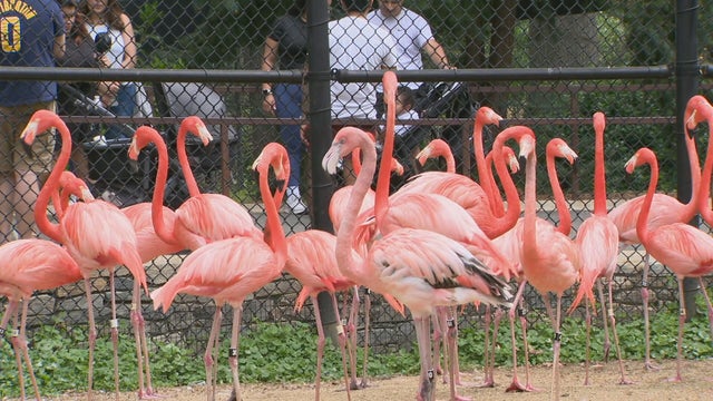 nationalzoo.jpg 
