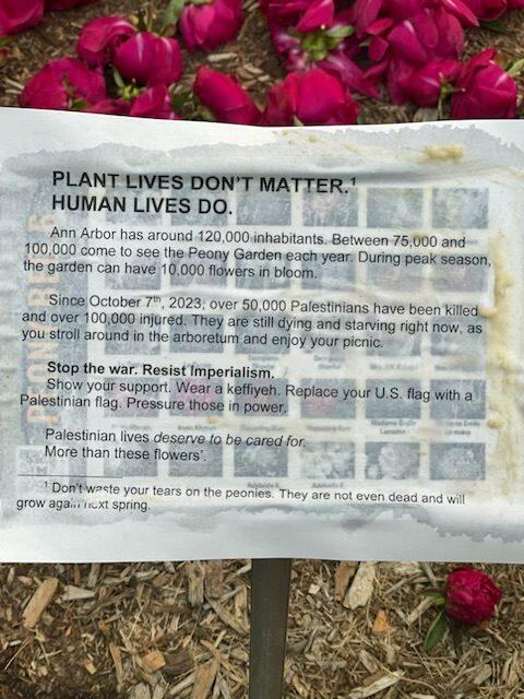 university-of-michigan-peonies-destroyed.jpg 