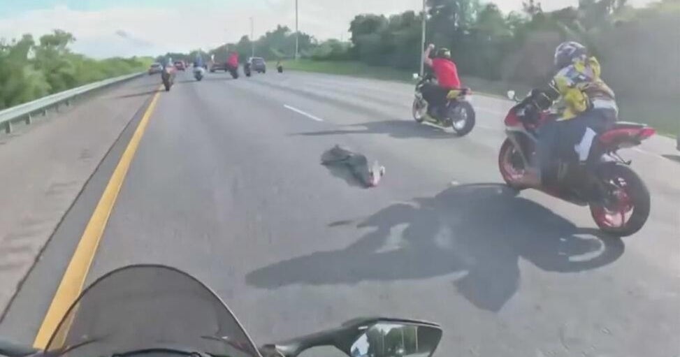 Florida motorcyclists hospitalized after hitting gator in the middle of the road Florida motorcyclists hospitalized after hitting gator in the middle of the road
