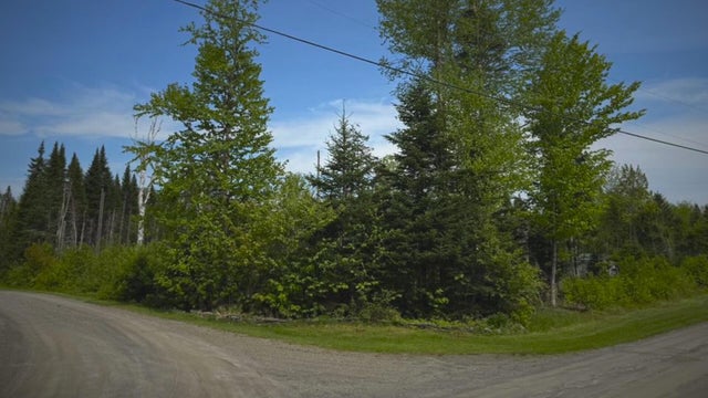New Hampshire land scam 