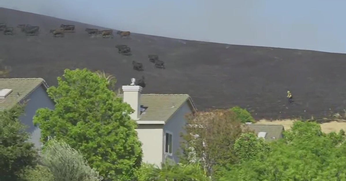 Fire burns dozens of acres in Fairfield, forces evacuations